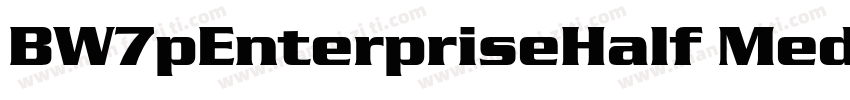 BW7pEnterpriseHalf Medium字体转换